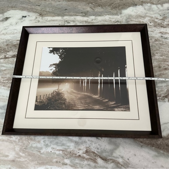 Sepia Tree Landscape Print Framed Glass Art - Wall Decor - Picture 9 of 16